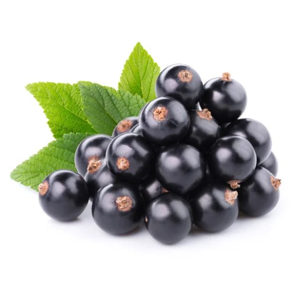 Ribizli fekete 2,5kg mirelit 