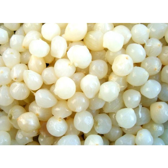 Gyöngyhagyma 3500g/1850g Globetti (3db/#)