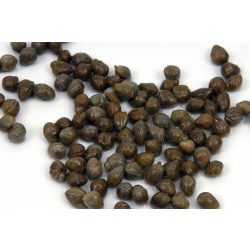 Kapribogyó 1000g/550g szár nélkül