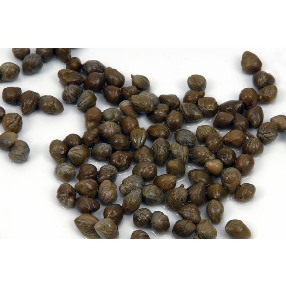 Kapribogyó 1000g/550g szár nélkül