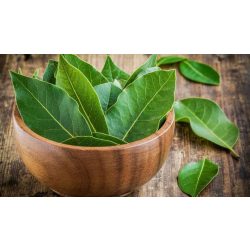 Babérlevél egész 250g (fűszer)
