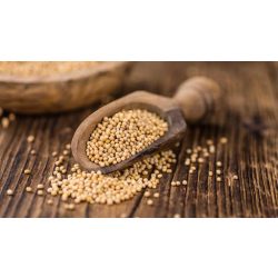 Mustármag egész 250g (fűszer)